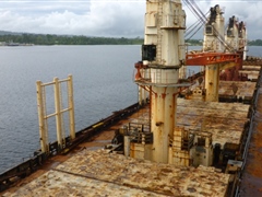 Logging vessel during biosecurity arrival clearance